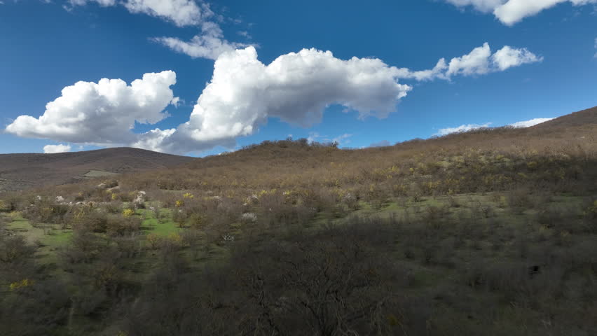 Aerial view of a dense mountain forest with trees in early spring colors under a clear blue sky with puffy white clouds