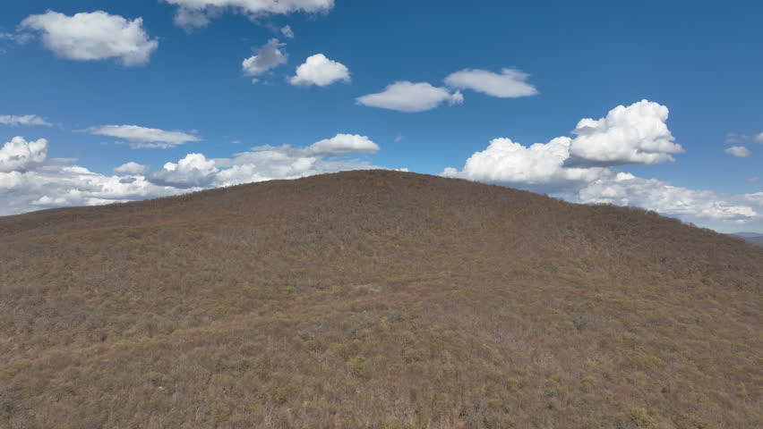 Aerial view of a dense mountain forest with trees in early spring colors under a clear blue sky with puffy white clouds