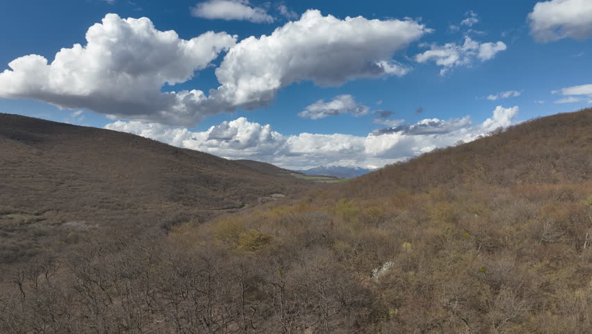 Aerial view of a dense mountain forest with trees in early spring colors under a clear blue sky with puffy white clouds