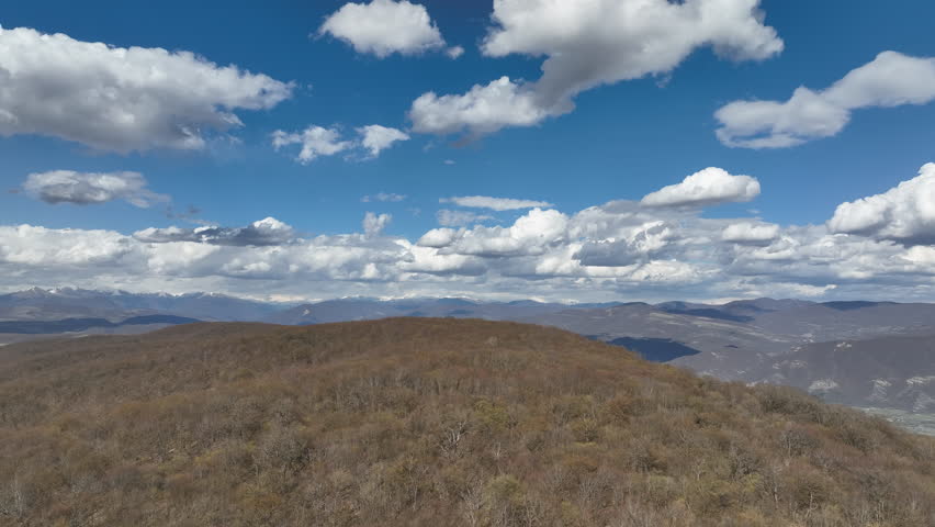 Aerial view of a dense mountain forest with trees in early spring colors under a clear blue sky with puffy white clouds