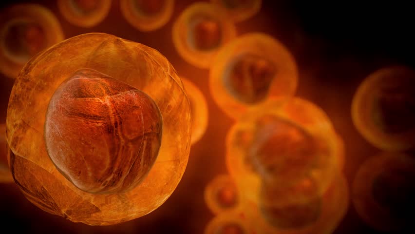 science medicine health healthcare medical 3d research doctor laboratory microscopic organism HD