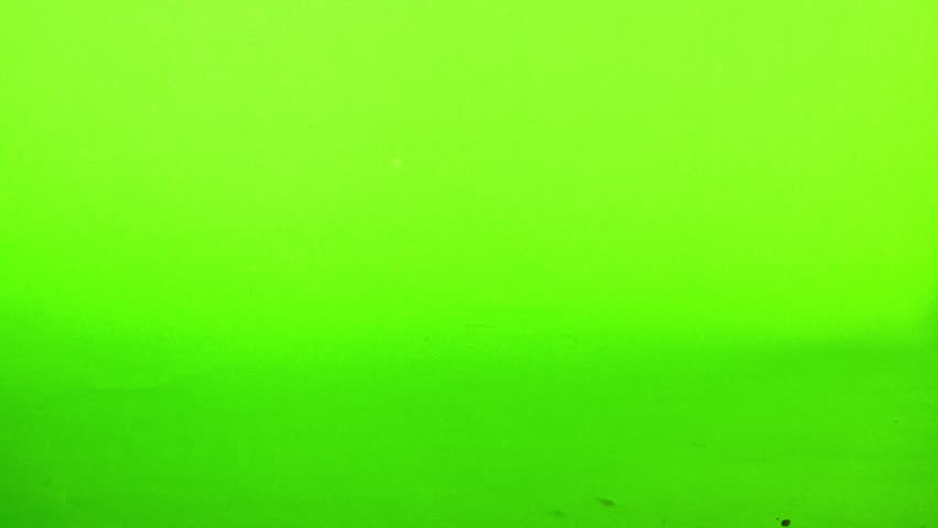 vintage toy F1 race car toy isolated on green 