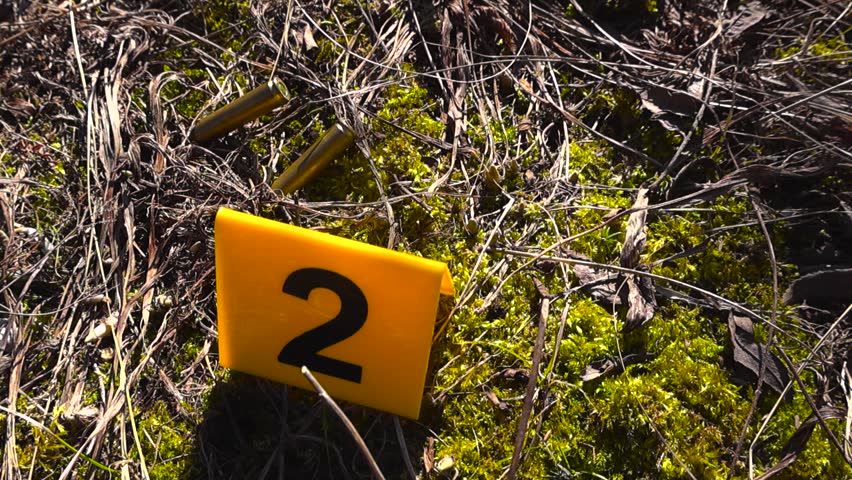 Yellow forensic evidence marker with the number two sitting next to spent bullet shell casings on mossy ground, indicating a crime scene or shooting incident under investigation by police