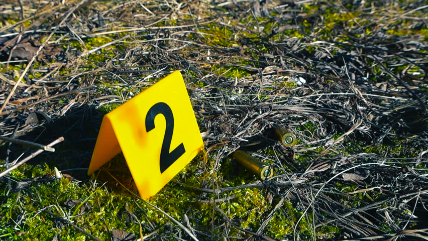 Close up view of a yellow forensic marker with the number two next to two spent bullet casings on mossy ground, documenting evidence at a crime scene on a sunny day