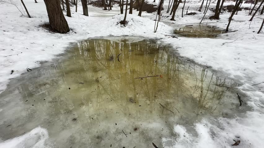 Section of the old snowy park with puddles of a melt water in hollows among the trees, fallen branches and reflection of trees in water at early spring, view while moving down in overcast day
