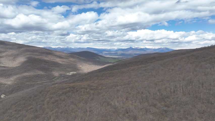Aerial view of a dense mountain forest with trees in early spring colors under a clear blue sky with puffy white clouds