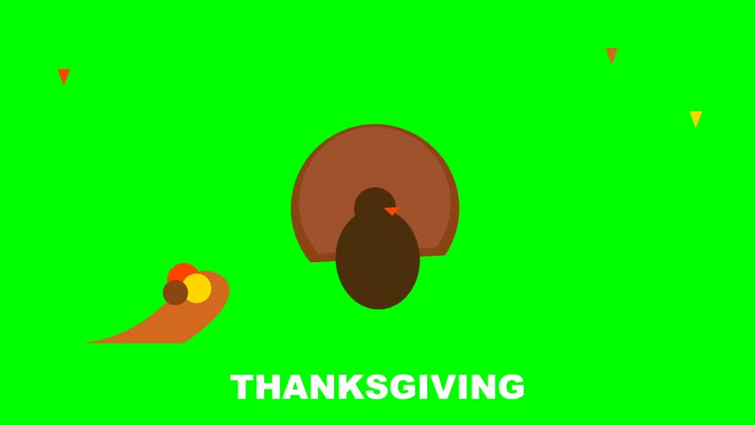 Minimalist flat animation of a Thanksgiving turkey on green background