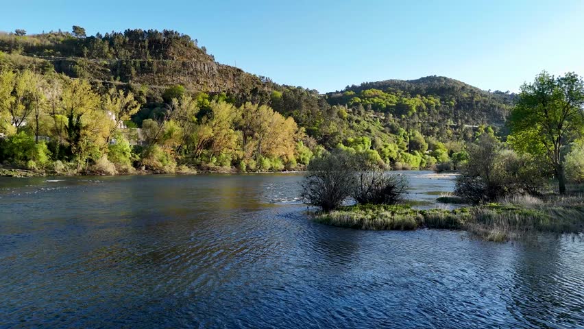 Beautiful river flowing through a lush green valley with forested hills under a clear blue sky