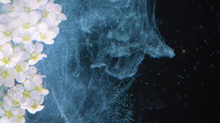 White floral mass underwater with powdery blue smoke texture, tight frame on petals and pollen, sensory perfumery vibe and tactile detail