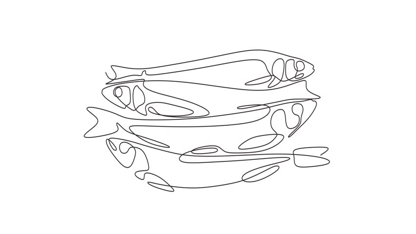 Animated self drawing of continuous line draw of Fish Full length one line animation. 4K	