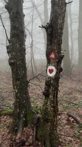 Trail marking with red triangle and heart painted on tree trunk in foggy forest of Fruska Gora National Park. Symbolic hiking sign surrounded by misty woodland atmosphere