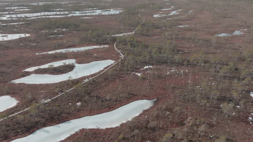 Walking path through swamp near a forest with ponds and marshy land in early spring