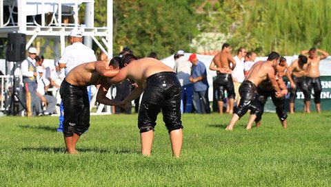 ISTANBUL - AUG 24: 8th Sile Annual Turkish Oil Wrestling Event on August 24, 2012 in Istanbul, Turkey. Wrestlers at the green arena
