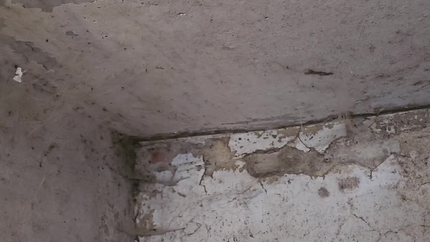 Abandoned house corner with peeling ceiling cracked walls heavy cobwebs renovation before concept old rural interior decay