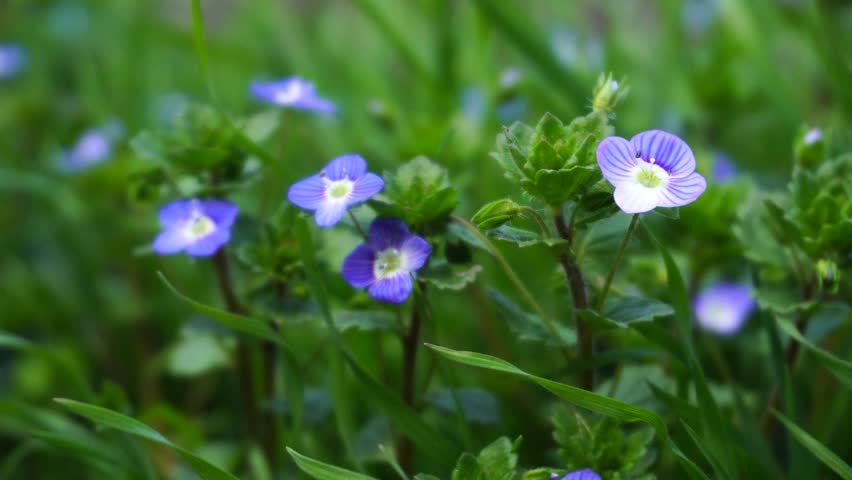 Spring seasonal landscape view. Travel and holiday concept.