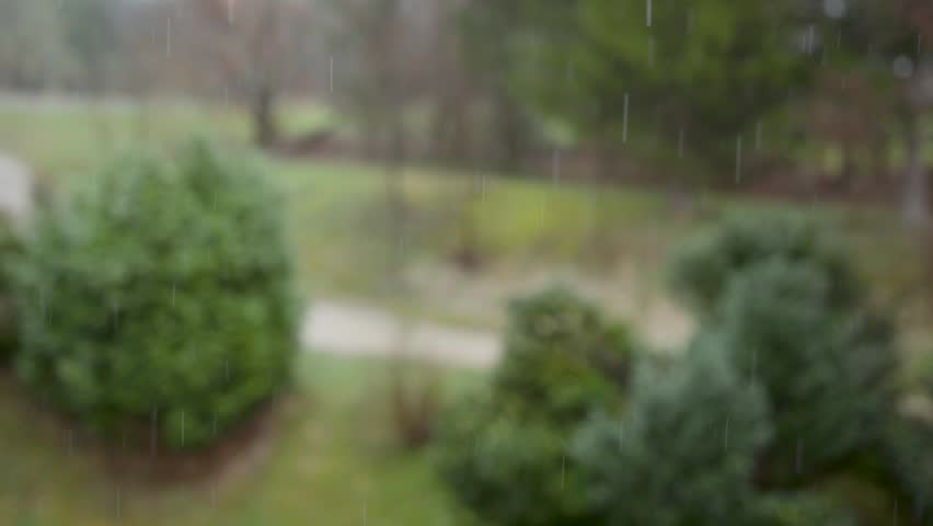Rain drops with blurred green nature background.