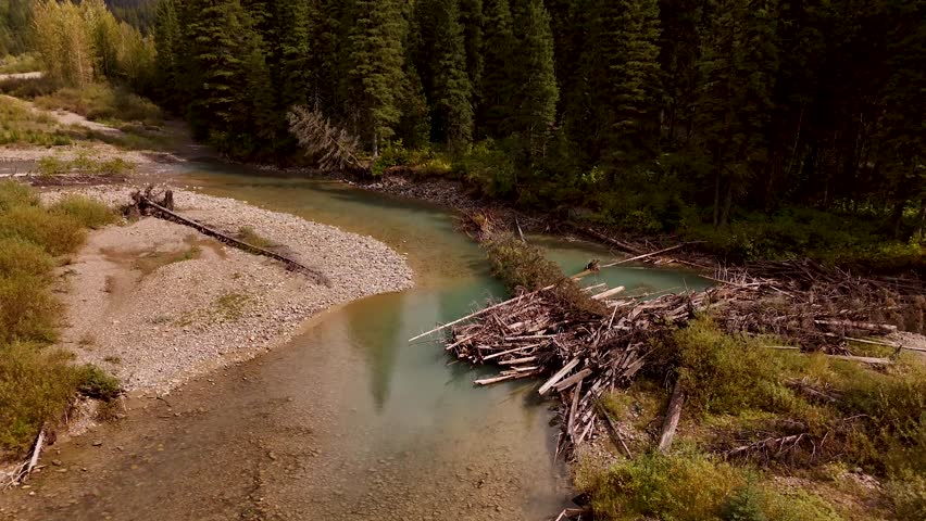 Majestic mountain peaks along the river between Banff and Jasper National Parks, Alberta, Canada. Flight over the river. Road trip in Canada. Rocky mountains. 4k footage