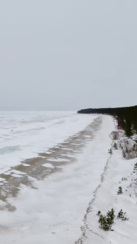 Long snowy beach beside a frozen sea, wind-swept sand patches and a distant forest headland under a pale overcast sky—quiet winter coastline with strong leading line, vertical.