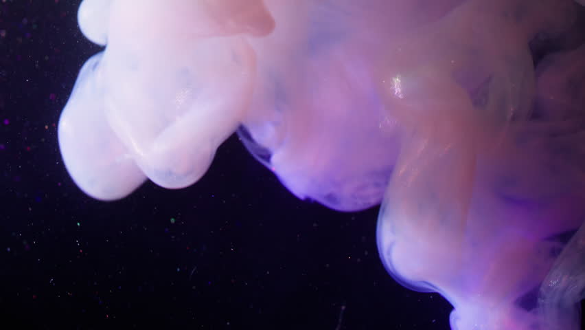 Shimmer vapor. Paint background. Blur bright purple pink yellow color smoke splash sparkling liquid spreading on creative dark black abstraction.