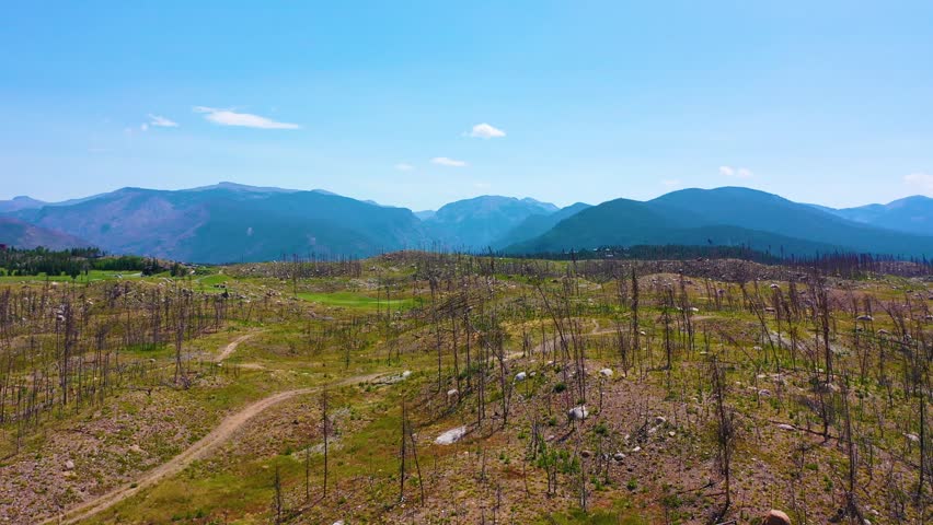 Broad drone panorama of a wildfire burn zone with scattered ash gray trunks, rugged hills, sparse regrowth, and hazy blue mountains near Estes Park in the Colorado Front Range.