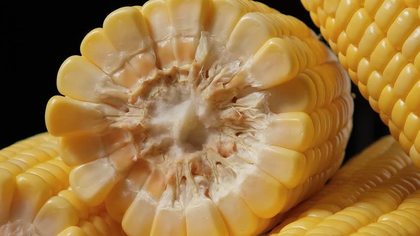 Close-up of fresh sweet corn.	