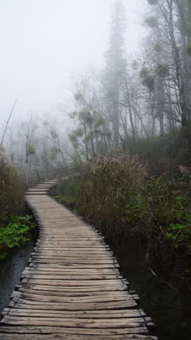 Wooden boardwalk path winding through a foggy forest landscape showing bare trees and winter vegetation. Plitvice Lakes National Park, Croatia