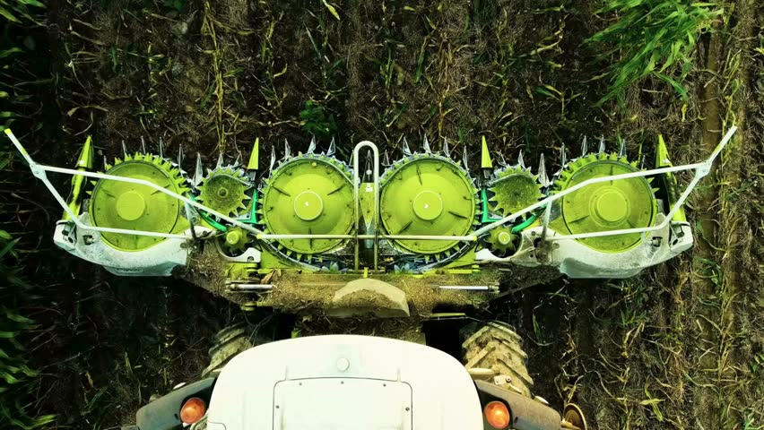 Detailed view of modern corn harvesting machinery in a vibrant green field, showcasing advanced features and efficiency during the harvesting season while emphasizing agricultural innovation.