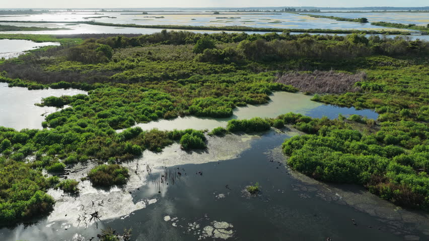 Wide aerial dolly of wetlands with ponds marsh islands and vegetation Emeralda Marsh Florida