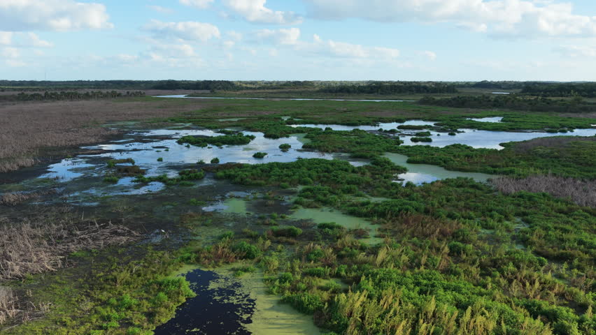 Wide aerial orbit descends over fire scarred wetlands with ponds marsh islands and distant horizon Emeralda Marsh Florida, clouds reflect in water