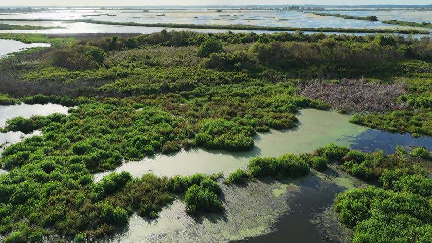 Aerial pullback across open marsh landscape with ponds wetlands and dense vegetation Emeralda Marsh Florida