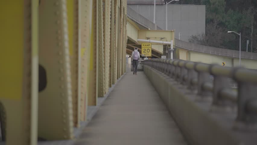 Pedestrian Walking Along Bridge Walkway with Urban Infrastructure