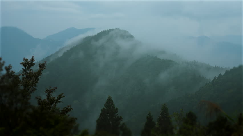 Foggy forest mountain landscape, clouds moving