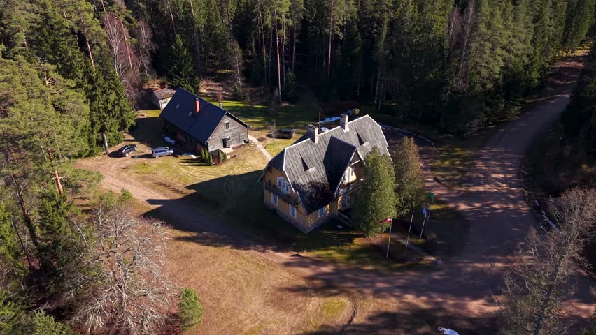 Aerial perspective of a peaceful forest scene with two houses, a gravel road, and a pond, all framed by lush greenery and sunlight filtering through trees
