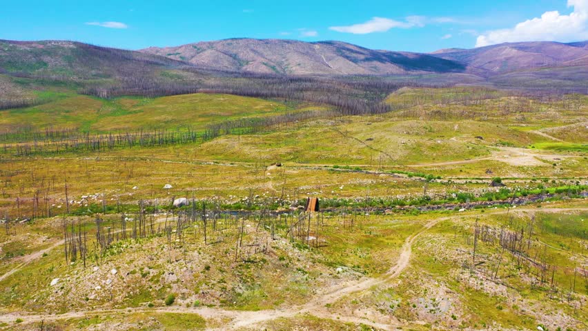 Aerial view of wildfire aftermath in Rocky Mountain National Park Colorado, with burned hillsides, green regrowth, winding tracks, and broad alpine ridges beneath clear summer sky.