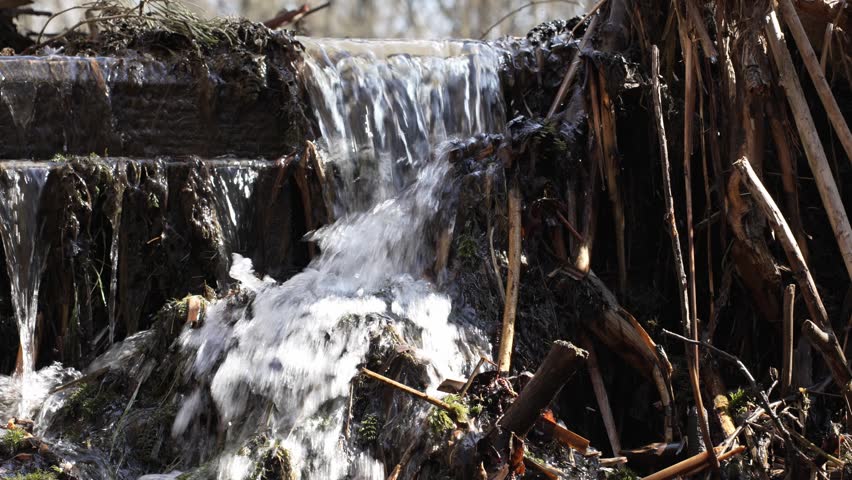 Close-up of a Small Natural Waterfall in the Forest