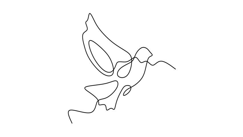 Animated self drawing of continuous line draw of Dove of Peace. Full length one line animation. 4K	