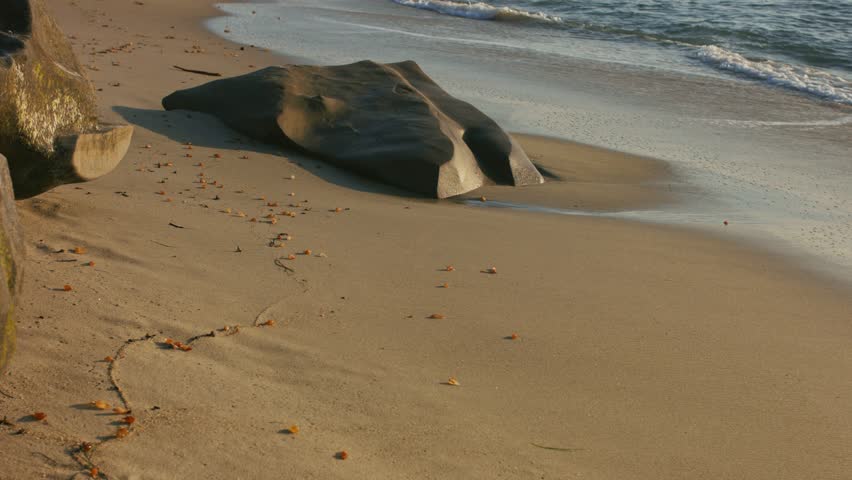 This 4K video shows a sandy shoreline, possibly at Elephant Rock Beach in Westport, MA. The visual documents a dark, smooth boulder in the foreground with ocean waves washing onto the shore. The composition illustrates coastal erosion and maritime geography, documenting North American Atlantic environments for nature and editorial media.