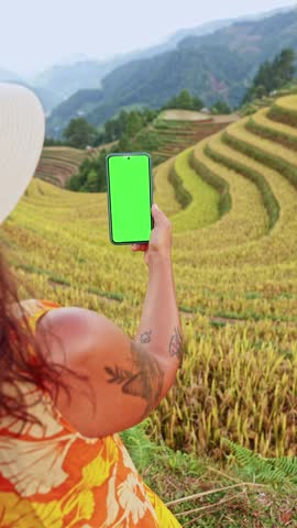 Young solo traveler with tattoos on her arm holding up a smartphone with a green screen, filming the stunning golden terraced rice fields of Vietnam during the harvest season