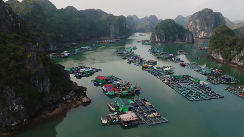 Cat Ba Vietnam aerial tracking along a long fish farm grid, leading the eye toward distant karst hills and open water.