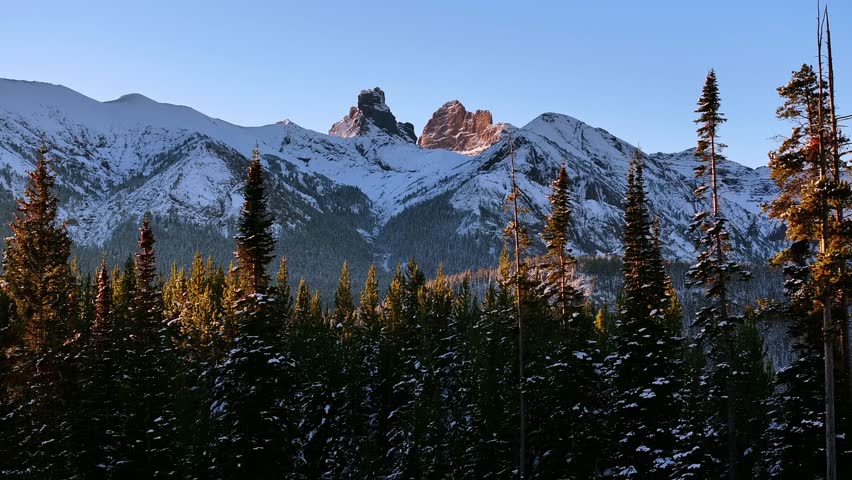 Snowy mountain peaks framed by evergreen trees near Cooke City Montana, aerial tracking right