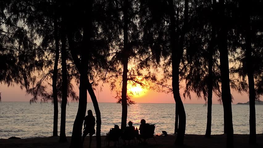 Silhouette of people relaxing on the beach under pine trees at sunset