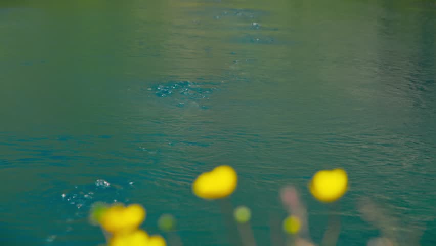 Close up of a bubbling mineral spring with deep blue water, framed by flowers in the foreground, showcasing vibrant colors and natural carbonation