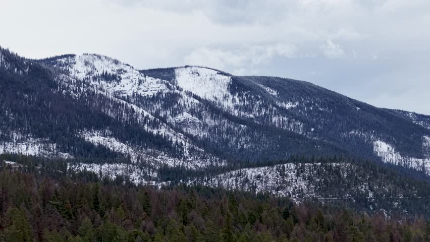 Snow-dusted mountain landscape with evergreen forest at the base under an overcast sky in Montana.