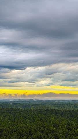 A grey cloud cover drifts past over a forest landscape where morning mist rises between the trees during the sunrise.