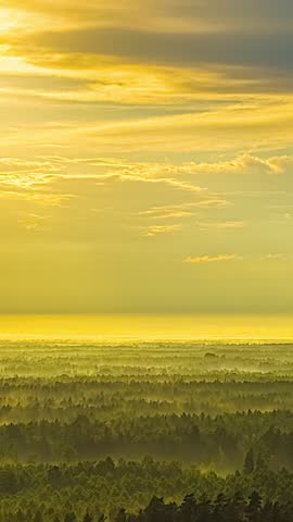 A yellow-colored sky over a forest landscape is slowly covered by gray clouds.