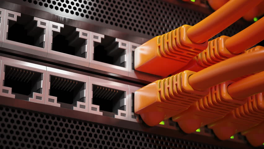 A row of lan Ethernet cable plugging in server or router, 3d video animation
