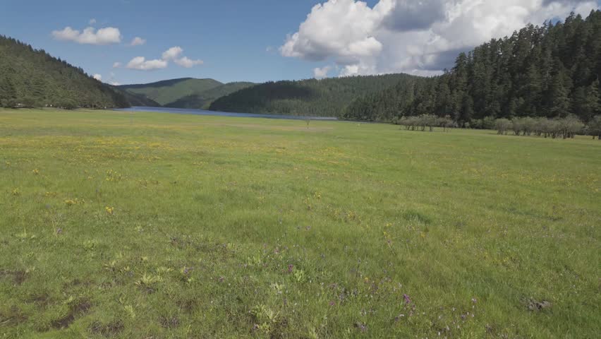 Wide grass meadow with wildflowers and forest hills near lake in Potatso National Park Yunnan, establishing overview