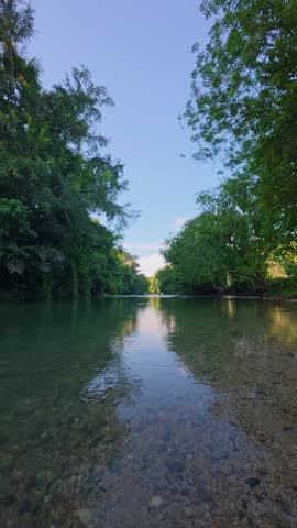 Clear River Flowing Through Lush Green Forest