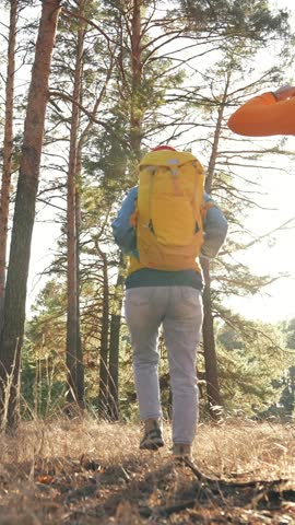 A woman in a yellow backpack points towards a tall tree while a man stands nearby. The setting is a forest with sunlight filtering through the trees.