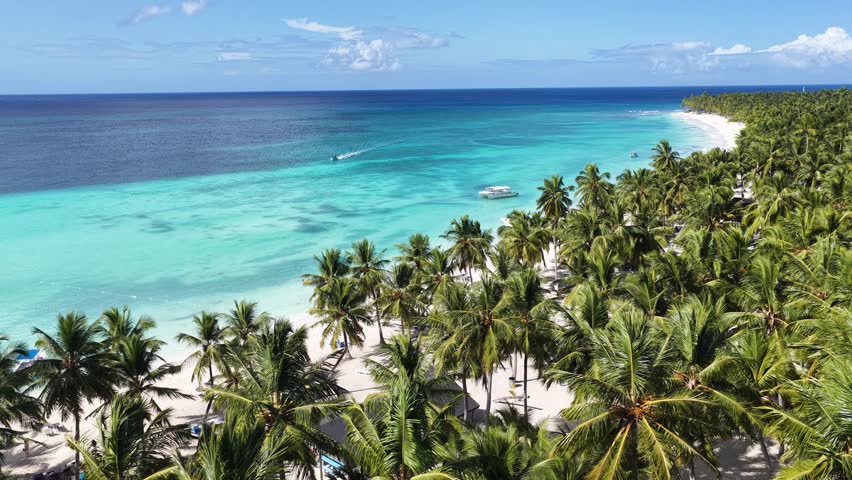 Isla Saona At Punta Cana In La Altagracia Dominican Republic. Caribbean Skyline. Beach Landscape. Native Coconut Trees. Isla Saona In Punta Cana In Dominican Republic. Nature Seascape.